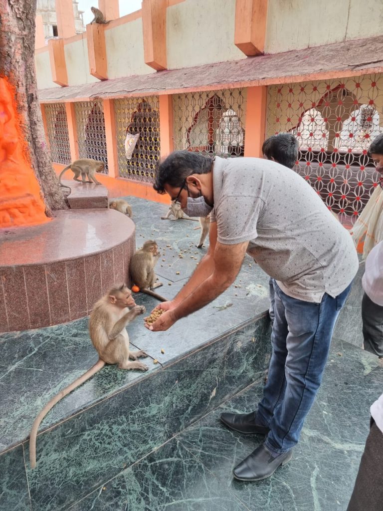 माकडांची उपासमार थांबविण्यासाठी मराठवाडा जनविकास संघाकडून खाद्याचा भार.