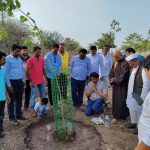 वृक्षदाई प्रतिष्ठान, भंडारा डोंगर ट्रस्ट व मराठवाडा जनविकास संघा तर्फे भंडारा डोंगर परिसरात  पिंपळाचे वृक्षारोपण.