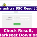 SSC Result : उद्या शुक्रवार ( दि.१७) दहावीचा निकाल ऑनलाईन जाहीर होणार. 