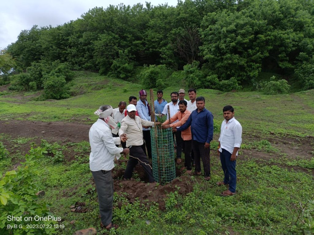 उपमुख्यमंत्री अजित पवार यांच्या वाढदिवसानिमित्त धारूर येथे वृक्षारोपण. 